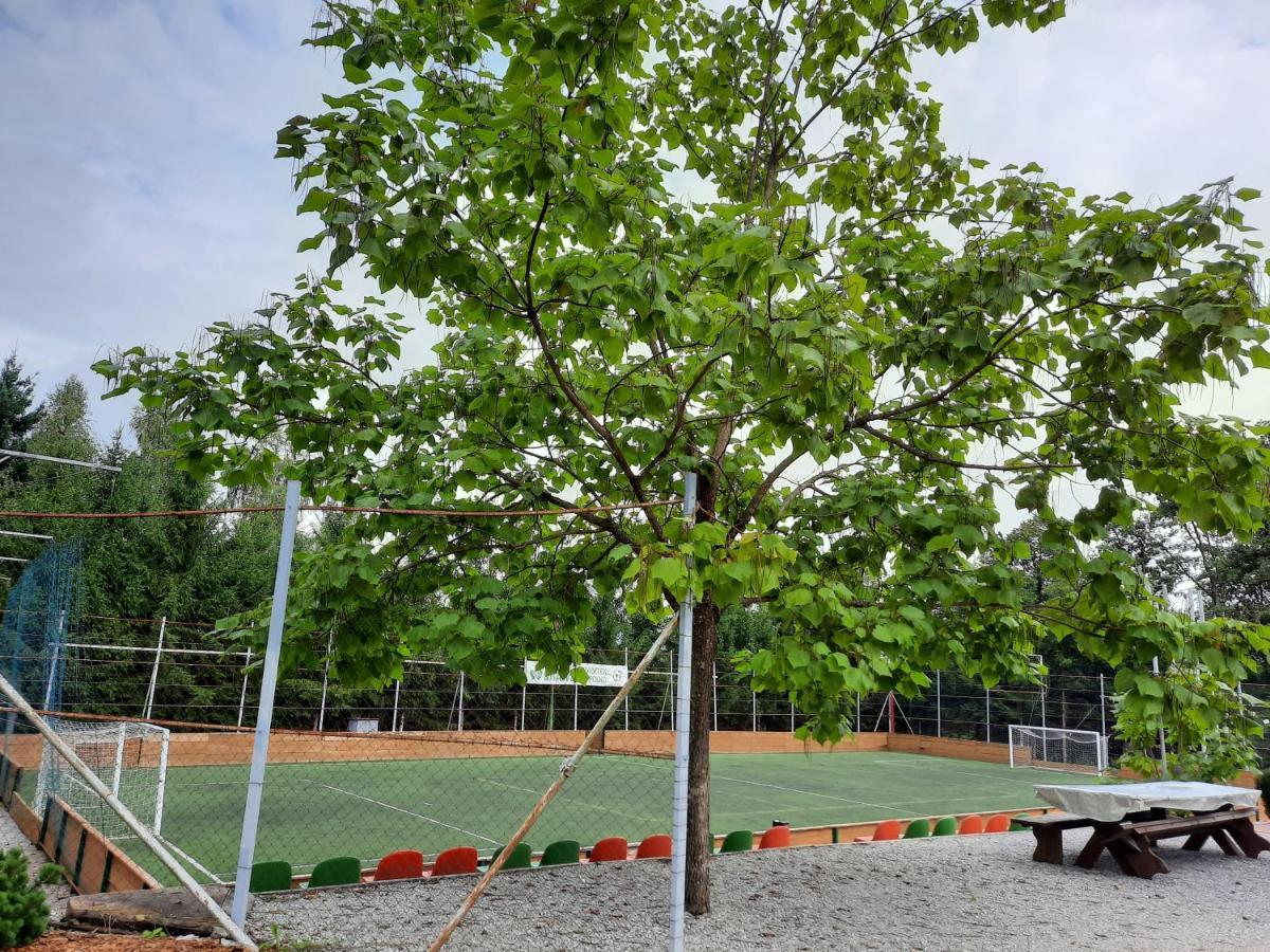 Pocitniska Hisa Parkfield Dragovan 梅特利卡 外观 照片