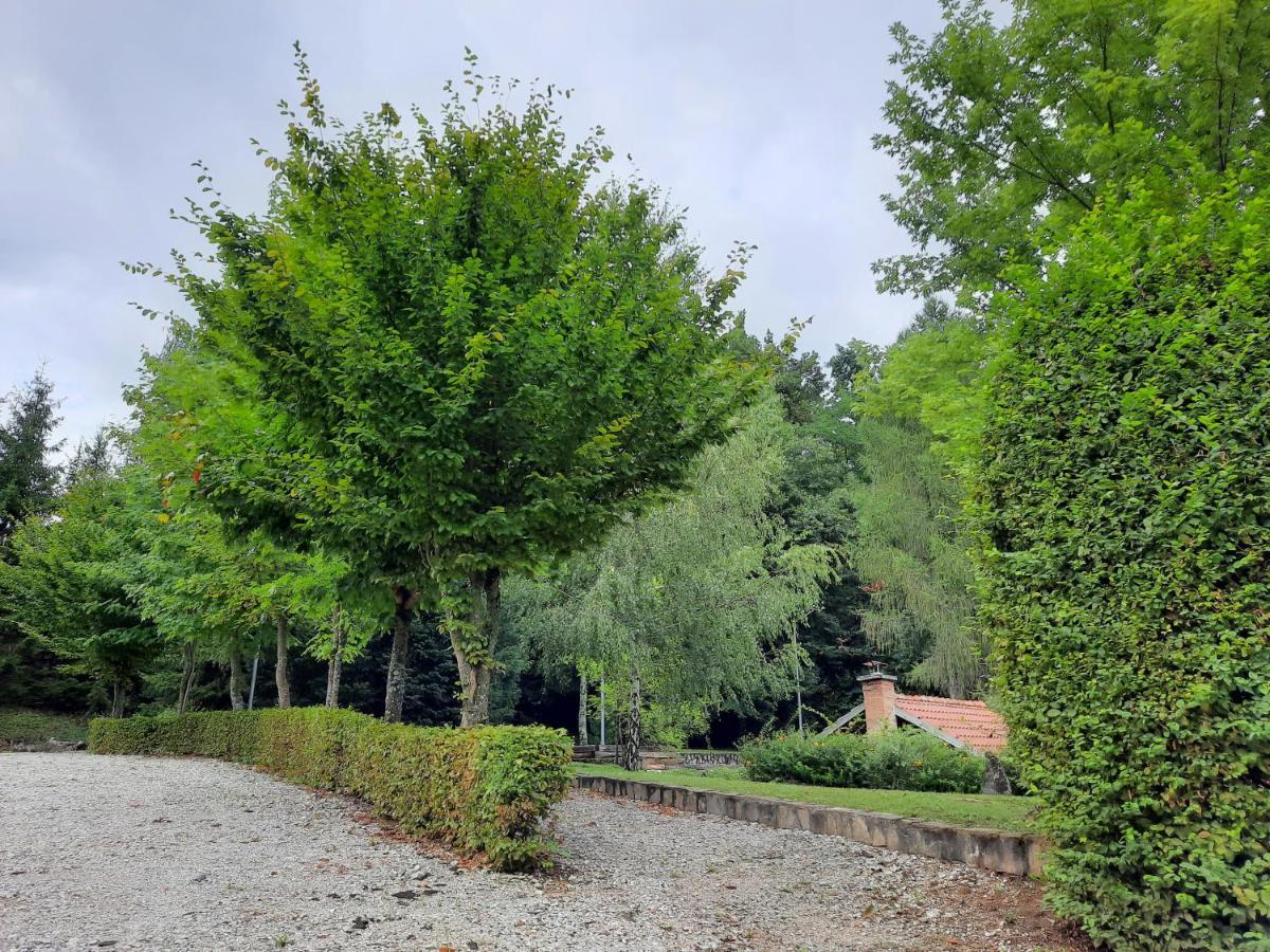 Pocitniska Hisa Parkfield Dragovan 梅特利卡 外观 照片